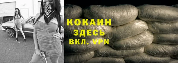 индика Болохово