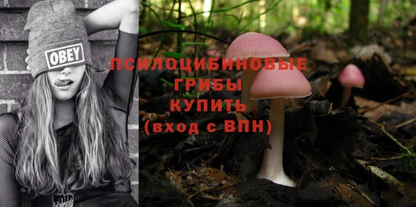 стаф Нефтекумск