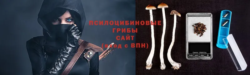 купить  сайты  Нариманов  Псилоцибиновые грибы Psilocybine cubensis 