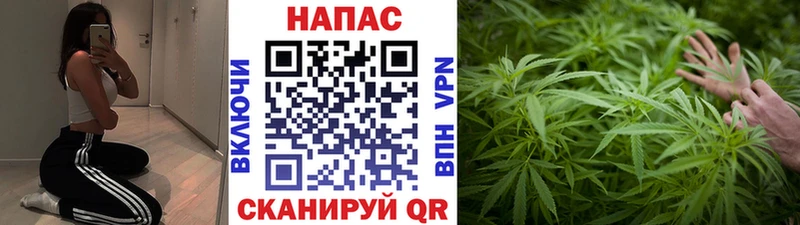 что такое Нариманов Марихуана семена